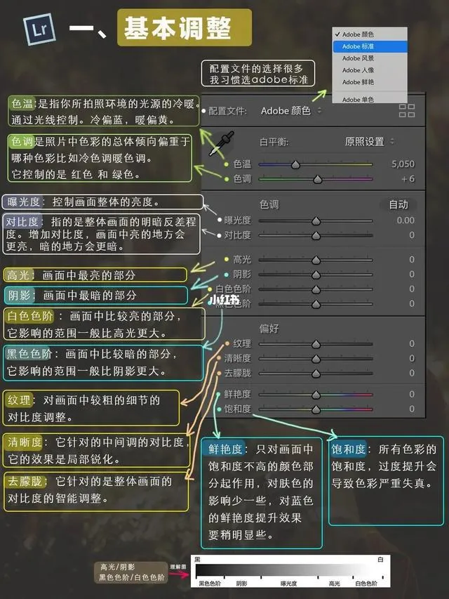 基本调整